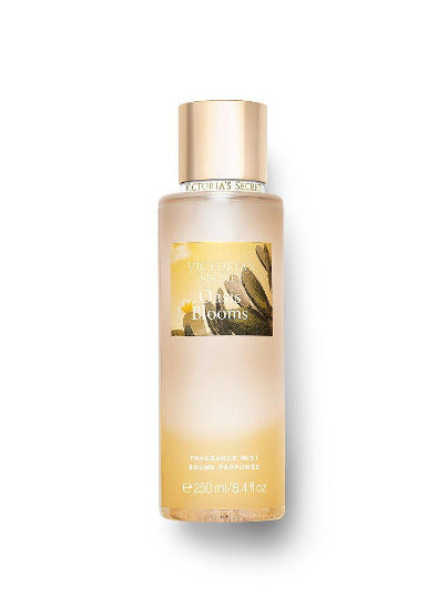 Victoria's Secret - OASIS BLOOMS - Fragrance Mist